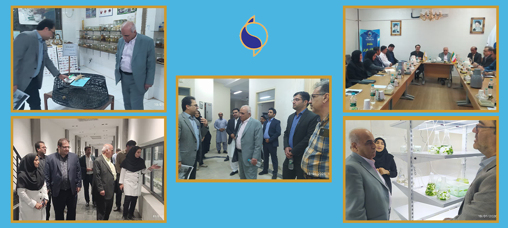  بازدید رئیس مؤسسه تحقیقات علوم شیلاتی کشور از ظرفیت‌های صید و فرآوری آبزیان در سیستان و بلوچستان